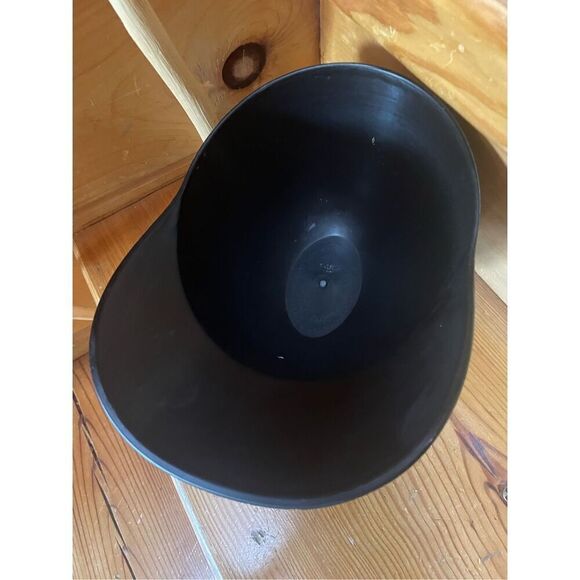 Richmond Flying Squirrels Ardillas Voladoras Souvenir Helmet - Picture 2 of 2